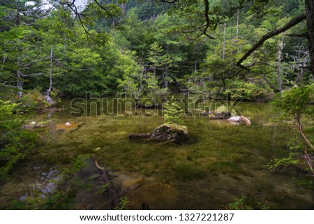 Landscape of Japan's pond