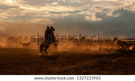 wild horses at Kayseri