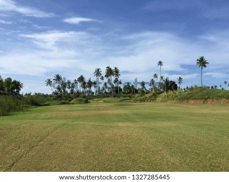 African golf course with palm trees lining the fairway