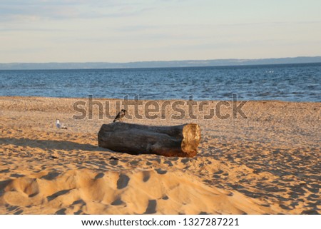Sandy Beach at Baltic Sea