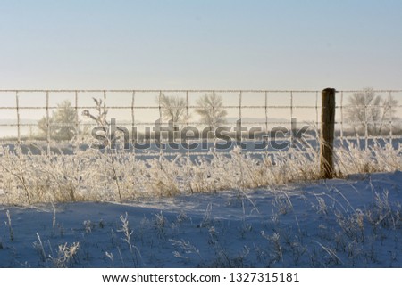 Frozen winter scene