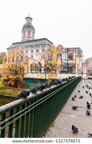 Bridge with pigeons  with church on the background Saint Petersburg. Russia