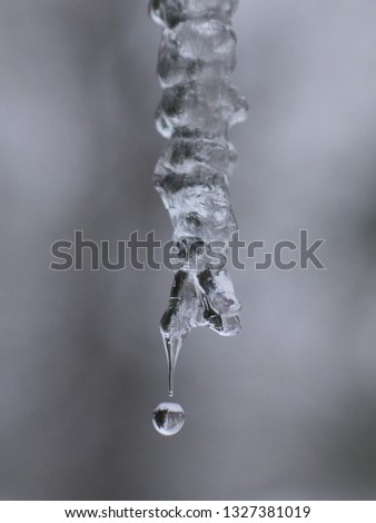 Icicle Dripping. Captured at high shutter speed.