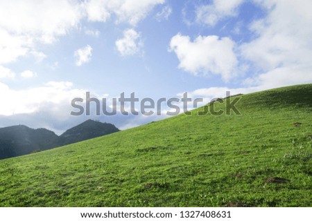 Plateau Meadow Under Blue Sky and White Clouds