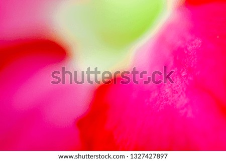 Abstract floral background. Macro photography.