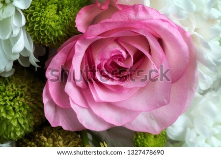 Beautiful pink rose in a bouquet among other flowers. Presented close-up.