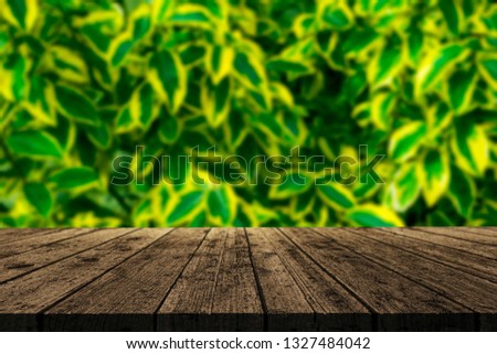 Real wood table top texture on leaf tree garden background.For create product display or design key visual layout