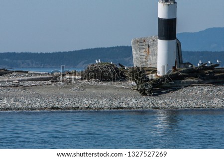 Large bald eagle nest on the beach of a small island in the Washington state coastal waters of the pacific ocean, with a marker beacon.