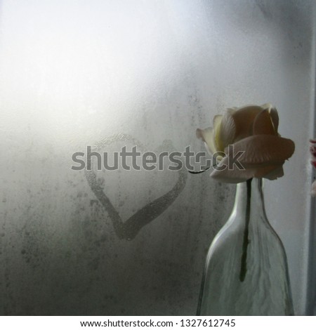 Love heart on steamed glass window with white rose 