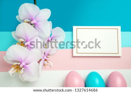 Pink blue easter eggs on pastel color stipes background with space for text and orchid