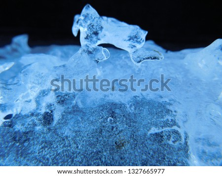 A natural miniature ice sculpture. I think it looks like a walrus        
