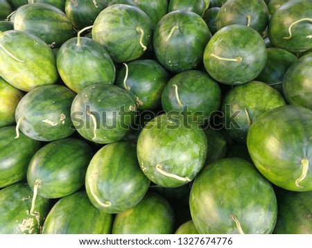 fresh water melon background