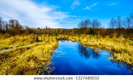 The Silverdale Creek Wetlands, a freshwater Marsh and Bog near Mission, British Columbia, Canada on a nice autumn day