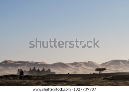 landscape in desert, beautiful photo digital picture