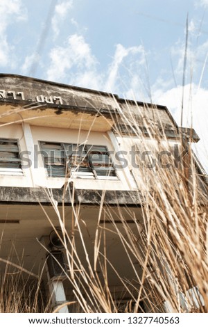 Landscape of old abandoned theater facade, view from bottom up to sky, dry wild grass blowing in the wind in front of an old theater, bright sunny summer.