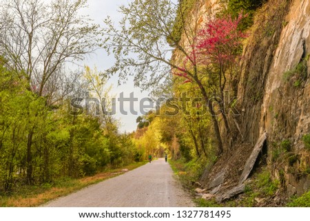 Trail by Missouri River in spring at sunset; bluffs on the right, red-bud trees blooming Royalty-Free Stock Photo #1327781495