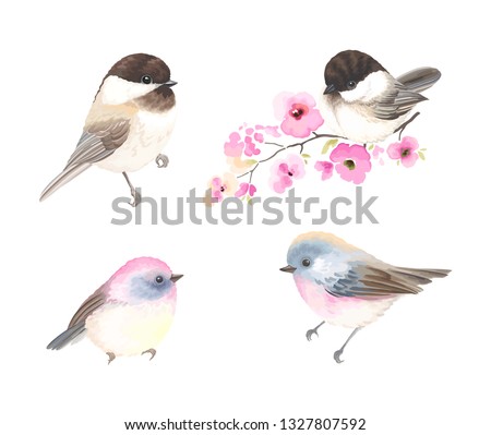 Collection small cute birds in vintage watercolor style. Vector illustration with colorful flowers on branches tree.