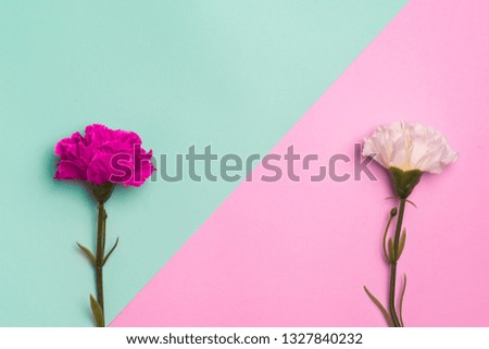 top view flower colour