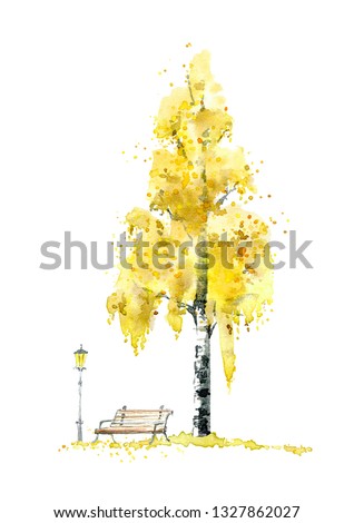 Birch tree,bench and lantern. Autumn. Yellow wood. Watercolor hand drawn illustration.White background.