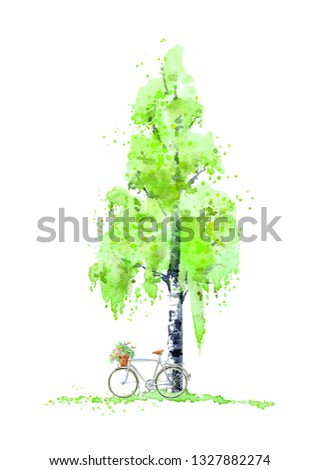 Birch tree and bicycle. Summer.  Watercolor hand drawn illustration.White background.