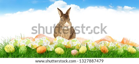 Grass Panorama with Rabbit and Easter Eggs isolated on white Background