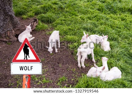 Warn Sign Wolf Goats