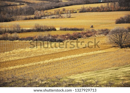 view of agricultural fields