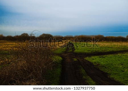 Muddy dirt farm roads split directions under blue sky.