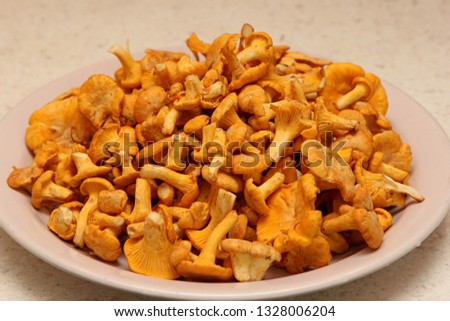 A first chanterelle on a white plate