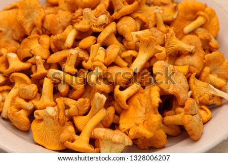 A first chanterelle on a white plate