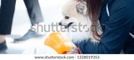 German Spitz at the Dog Show at the hands of the owner