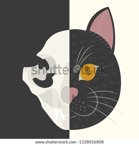 The life and death of Schrodinger's cat vector illustration. Schrodinger's famous thought experiment. Half alive half dead cat. Half skull half face of cat.