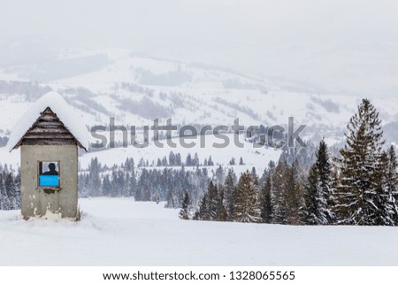 winter landscape, mountains, forest, park, nature, trees, snow, winter, alpine skiing, downhill skiing, ski resorts, resort, skis, ski lift, sport, winter sport