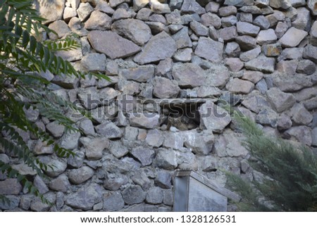 A stone-wall with an owl nest