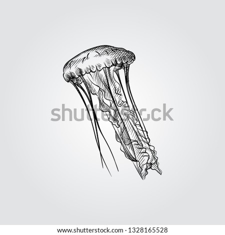 Hand Drawn Jellyfish Sketch Symbol isolated on white background. Vector of Underwater world elements In Trendy Style. Engraving style pen pencil crosshatch.