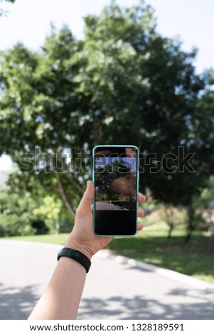 Taking picture of a tree with a smartphone