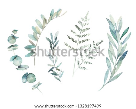 Watercolor greenery set. Hand drawn winter illustration with eucalyptus branch, leaves and fern. Vintage botanical plant
