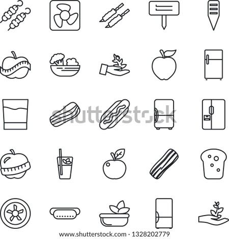 Thin Line Icon Set - plant label vector, diet, fridge, drink, phyto bar, salad, bacon, bread, kebab, hot dog, apple fruit, fan, palm sproute