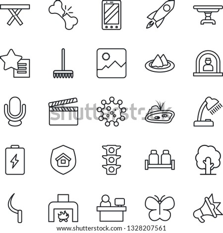 Thin Line Icon Set - reception vector, mobile phone, manager place, rake, tree, butterfly, sickle, picnic table, broken bone, virus, traffic light, clapboard, microphone, favorites list, gallery