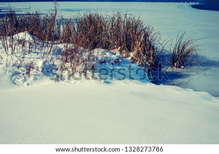 Frozen over pond, and snow covered ground and reeds 