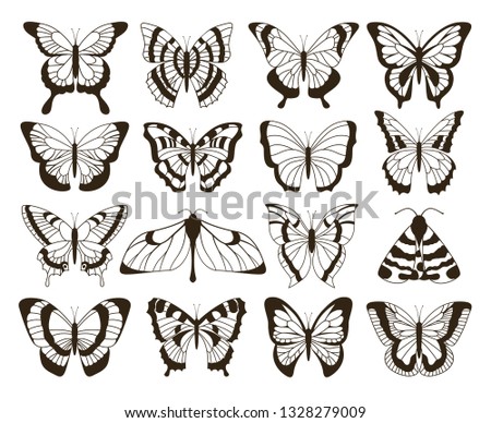 Monochrome butterflies. Black and white drawing, hand drawn tattoo shapes vintage collection. Vector butterfly isolated set