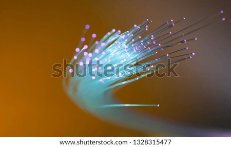 Optical fibers of fiber optic cable. Internet technology 