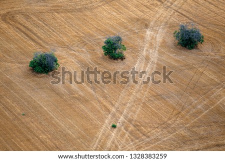 Aerial view of Mallorca agricultural  lands, Mallorca, Balearic Island, Spain.