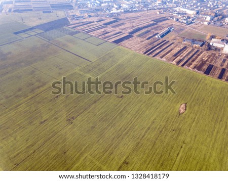 Agricultural landscape, top view. Sunny green wheat field, drone photography, copy space background.