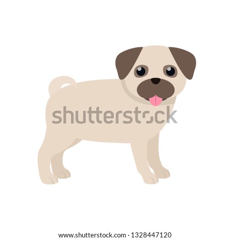 Pug. Cute purebred dog. Isolated vector illustration