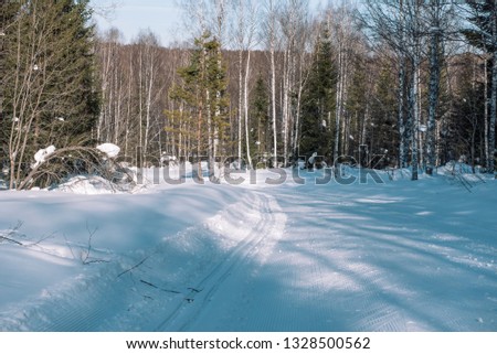 Footprints in the snow from the car. The road to the forest. Winter landscape. Winter in Siberia. Winter road. Trees in the snow.