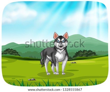 A husky in the pack background illustration