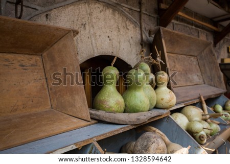 Assortment of different decorative and edible pumpkins on old wooden shelf.