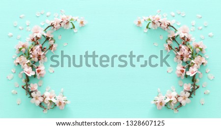 photo of spring white cherry blossom tree on pastel mint wooden background. View from above, flat lay