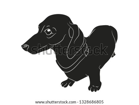 Vector illustration of a cartoon dachshund that stands, silhouette drawing, white background.